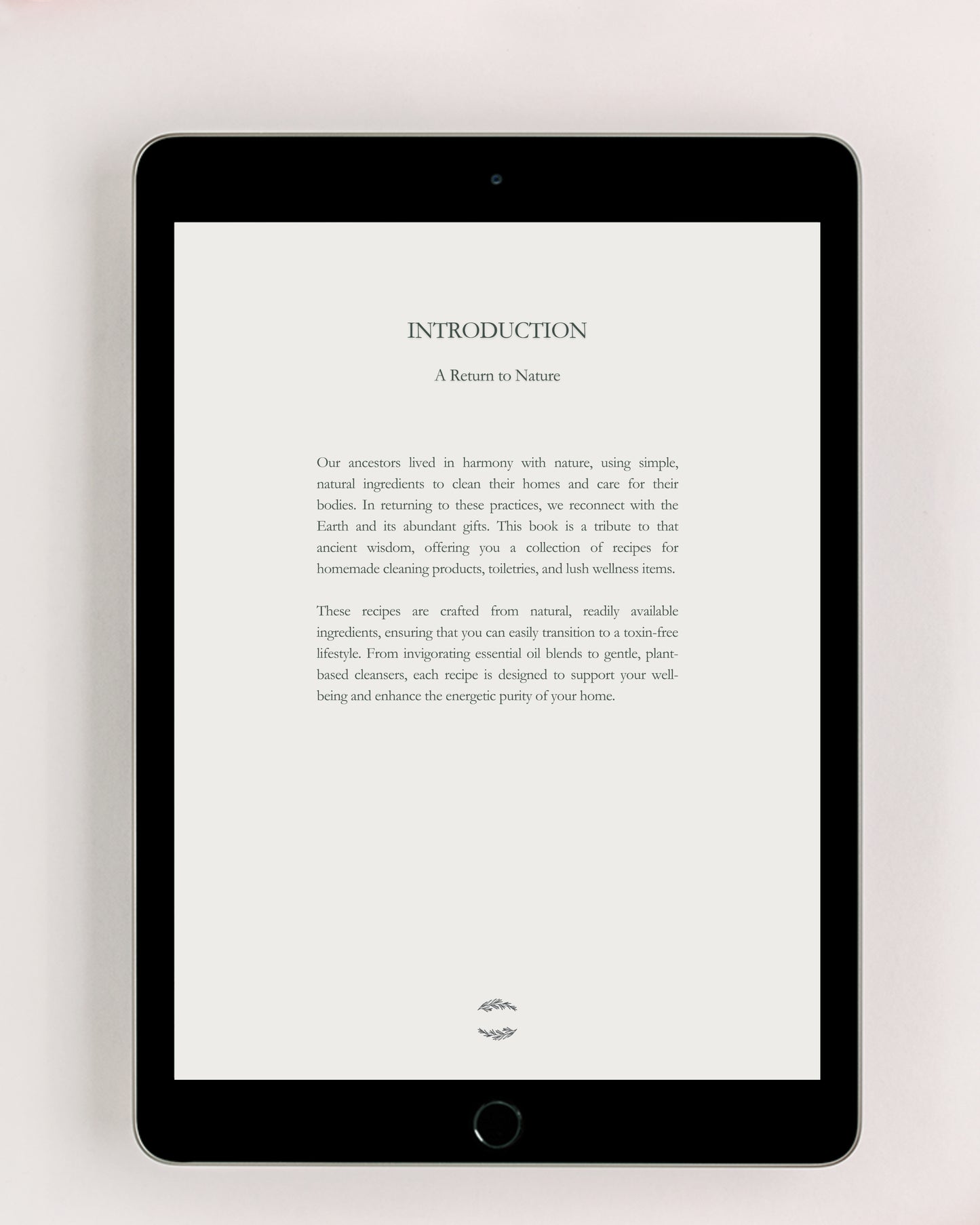 Harmony Within: Detox Your Home eBook